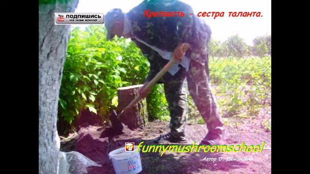 Вёшенка ТЕХНОЛОГИЯ выращивания на ПНЯХ смотреть онлайн