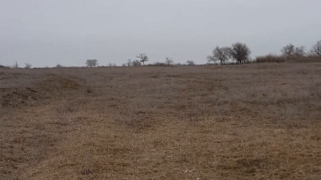 Февраль 2020, пряги опять прут. смотреть онлайн