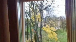 Как регулировать деревянные евроокна? Как герметизировать? И что получилось в итоге по деньгам?