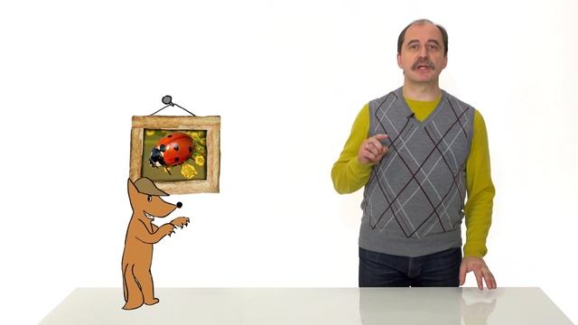 10. Насекомые. Часть 2