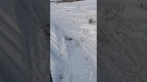 Мотобуксировщик Forza 17 лошадей с модулем лыжным