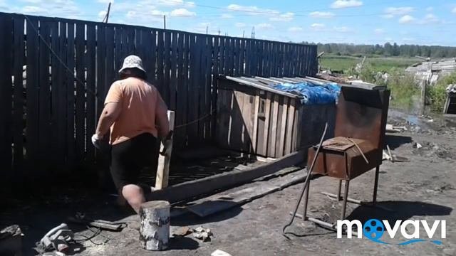 Стройка...бройлеры....мошка...