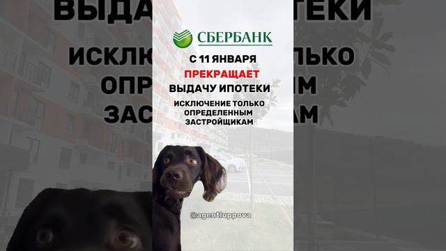 #льготнаяипотека #ключеваяставка #набиулина #недвижимость #сбербанк #застройщик #недвижимостьсочи