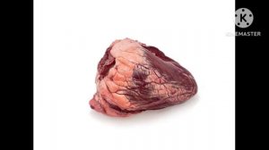 Сектор газа-частушки(с картинками)