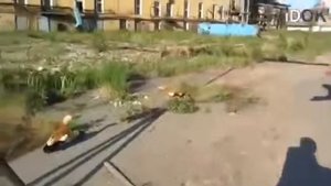 Вот так своих детей нужно защищать