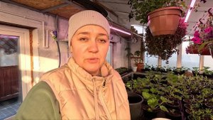 Обзор цветочной теплицы | Декабрь 2023