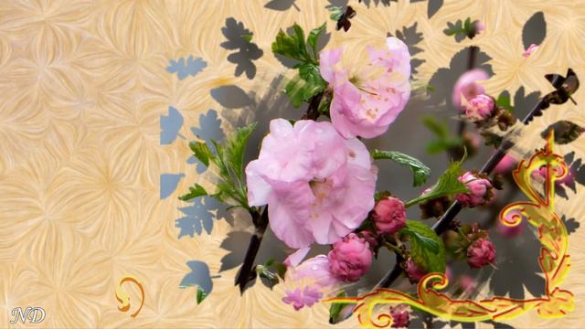 Её величество Весна! - Her Majesty Spring!