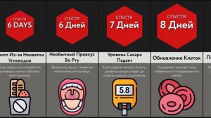 Что, Если Перестать Есть