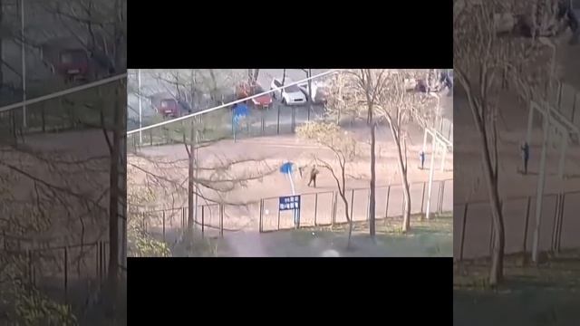 Дети три часа играли рядом с оставленным питерскими медиками трупом смотреть онлайн