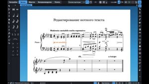 Нотный редактор Dorico Pro 3.5 – 02. Редактирование нотного текста