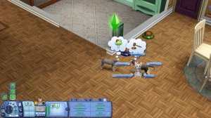 Питомцы в The Sims | Сравнение 3 частей