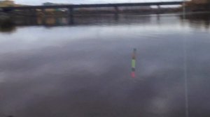 ВЕЧЕРНЯЯ РЫБАЛКА В ПСКОВЕ