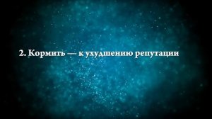 К чему снится черная курица - Онлайн Сонник Эксперт