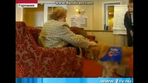 Реабилитация болезни альцгеймера