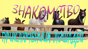 Приключение лошадей, Часть 3, Знакомство