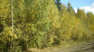 Игорь Крестовский - На переходе