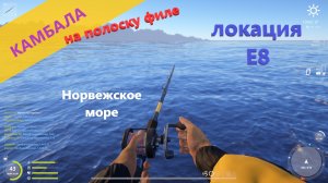 Русская рыбалка 4 - Норвежское море - Камбала на полоску филе