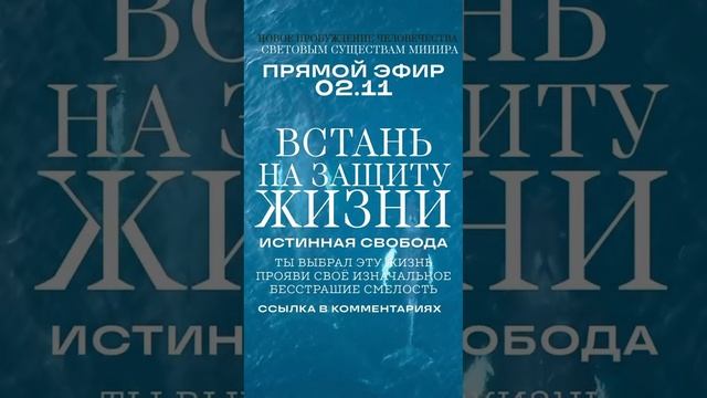 ТЫ ВЫБРАЛ ЭТУ ЖИЗНЬ