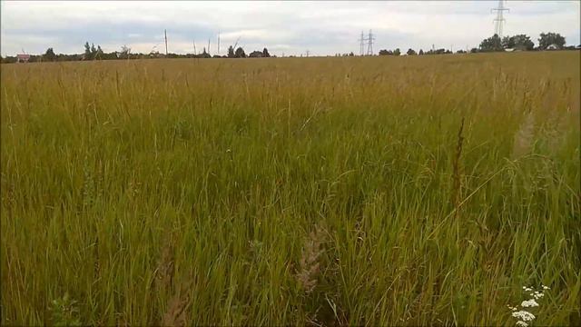 Копал там, где нельзя смотреть онлайн