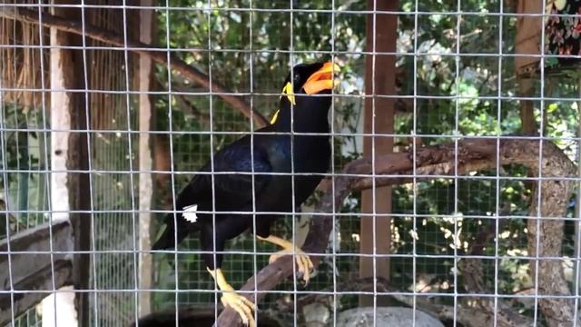 Ко Панган. Лучшие пляжи для жизни и отдыха на Пангане. Тайланд. Koh Phangan смотреть онлайн
