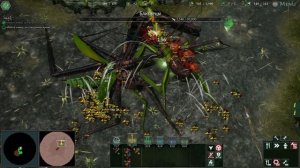 Empires of the Undergrowth 4 Испытание пройдено!!! Есть!