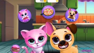 ?МИЛЫЕ ПИТОМЦЫ?Котенок Кики Собачка Фифи Ухаживаю за малышами