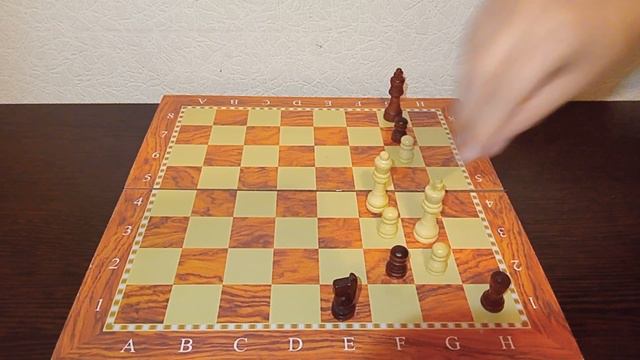 2 КОНЯ И ЛАДЬЯ VS ФЕРЗЬ!#chess #шахматы #шахматыдлявсех #шахимат