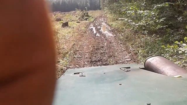 Выезжаем из леса.Грибов нет.