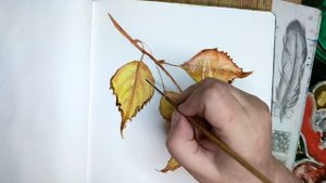 Как нарисовать осенние листья