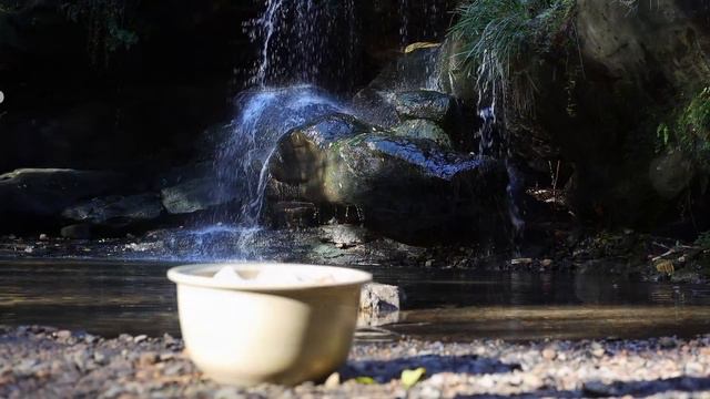 爽脆彈牙、白白淨淨、零油膩感👍 粵菜經典：白雲豬手😋 啤好水才是關鍵哦✔️