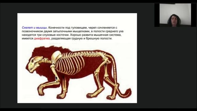 Онлайн-школа СПбГУ 2021/2022. 8 класс. Биология. 30.04.2022 смотреть онлайн