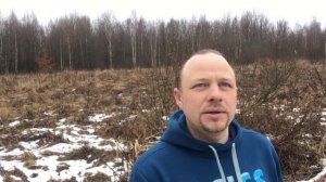 Как не купить заболоченный участок