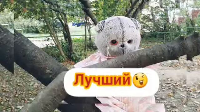 ФОТОСЕССИЯ БАСИКА/ПОТРАТИЛИ ЦЕЛЫЙ ДЕНЬ!😨 смотреть онлайн