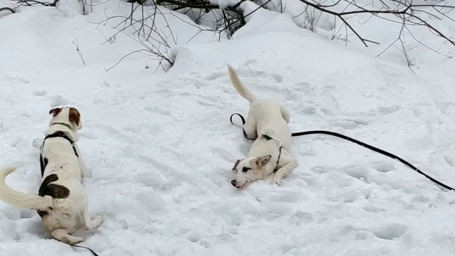 Не надо напрягаться 