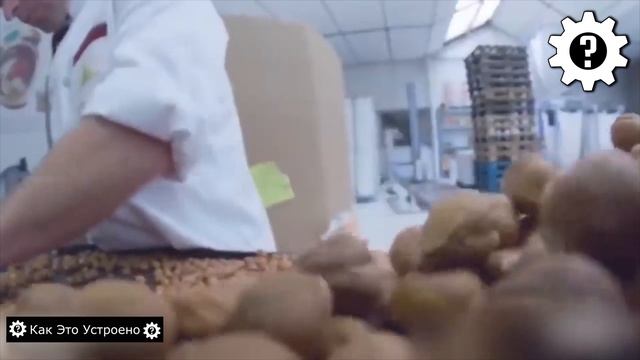 Нутелла - Как Это Сделано_ Производство Пасты Nutella