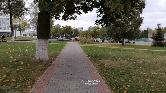 2020г. был очень своеобразным годом. Много паники и агрессии. смотреть онлайн