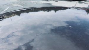 Как и Чем убрать птичий помёт и древесную смолу с автомобиля?