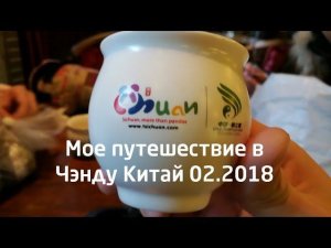 Путешествие в Чэнду Китай на китайский новый год, панды, улицы, центр