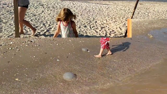 МОРЕ СОЛНЦЕ И МНОГО РАДОСТИ /НАШ ОТДЫХ смотреть онлайн