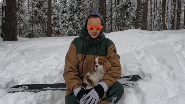 О ЗАПОВЕДНЫХ ГОРНОЛЫЖКАХ ПОДМОСКОВЬЯ ДЛЯ @TVKANT#горныелыжи #сноуборд #зима