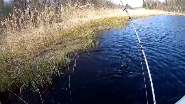 Рыбалка 2018 трофеи сезона смотреть онлайн