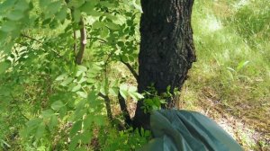 24 ЧАСА в ЛЕСУ: В ПОИСКАХ ЕДЫ с ЧУЖИМ РЮКЗАКОМ