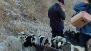 Камни и скалы. Село - крепость в Дагестане. Кахиб и Гоор.