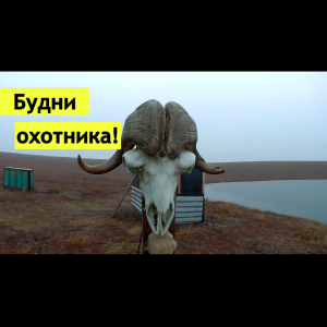 Будни охотника!!!.mp4