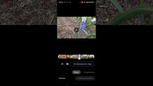 Как сделать фото из видео в галерее Google Фото. Как сохранить кадр фото из видео