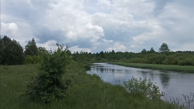 ЭКСПЕДИЦИЯ ПО РЕКЕ ЩАРА ЧАСТЬ 1:Трое в лодке не считая собаки. Сплав на 52 км. Рыбалка, шашлык, щук смотреть онлайн