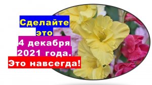 Сделайте это 4 декабря 2021 года! Это навсегда!