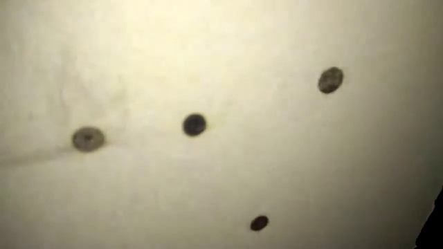 Лазерная трубка CO2 Yongli 1200-G (65 Ватт) № 001833 пл 11222 смотреть онлайн