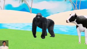 Long Slide Game With Elephant Gorilla Buffalo Hippopotamus Tiger - 3d Animal Game - Funny 3d Animal