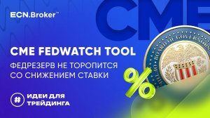 ИДЕИ ДЛЯ ТРЕЙДИНГА. CME FedWatch ToolФедрезерв  не торопится со снижением ставки